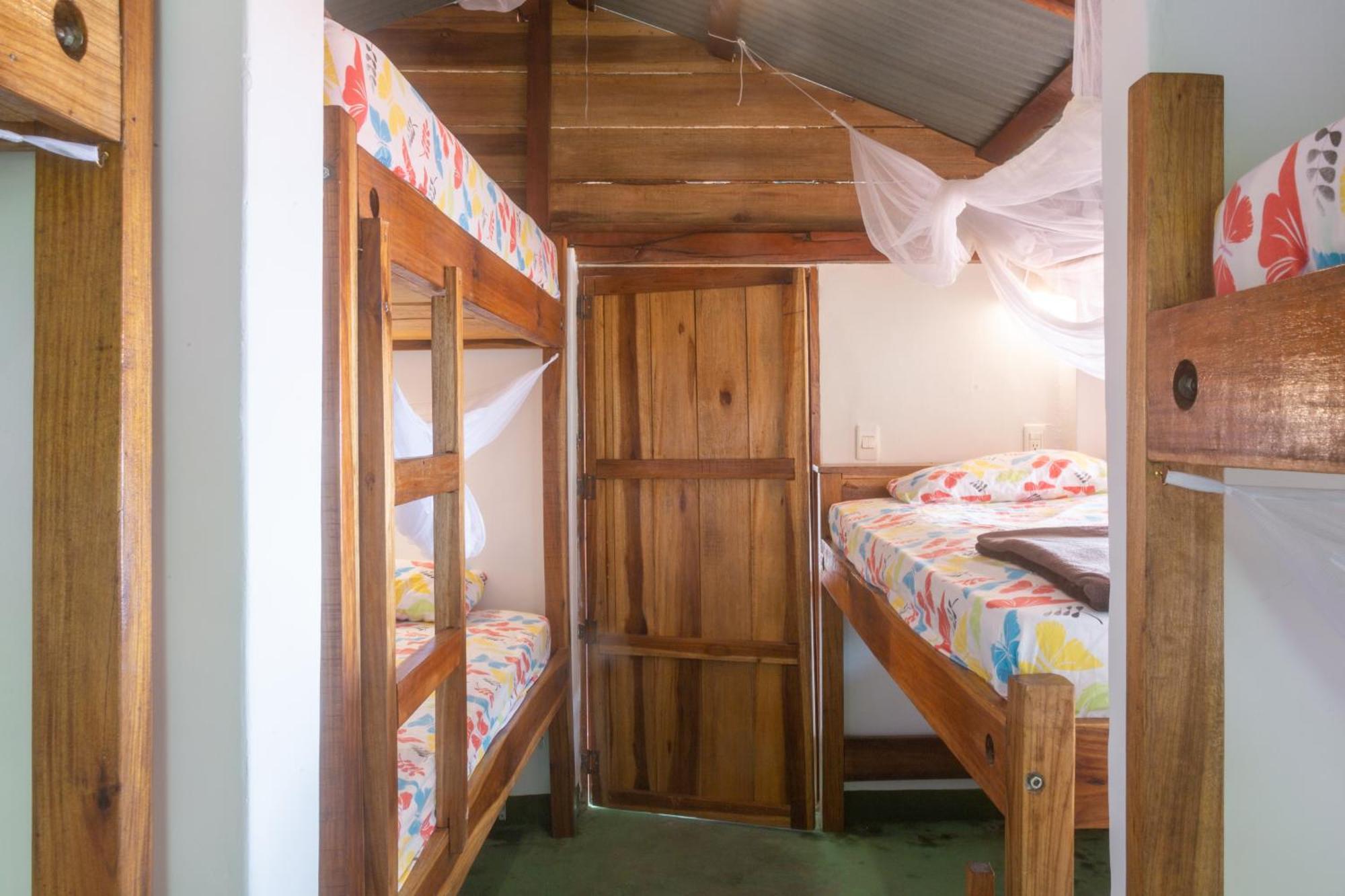 Mundo Nuevo Eco Lodge ミンカ 部屋 写真