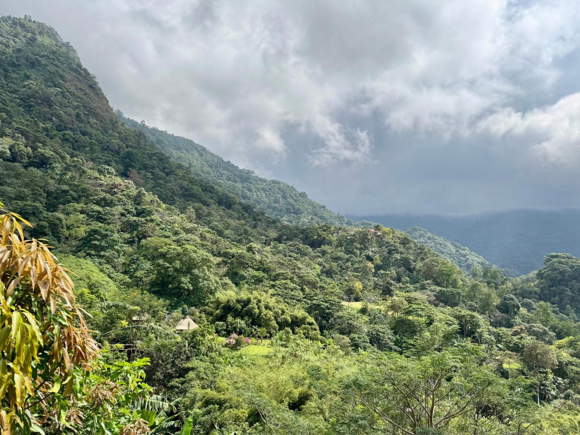 Mundo Nuevo Eco Lodge ミンカ エクステリア 写真