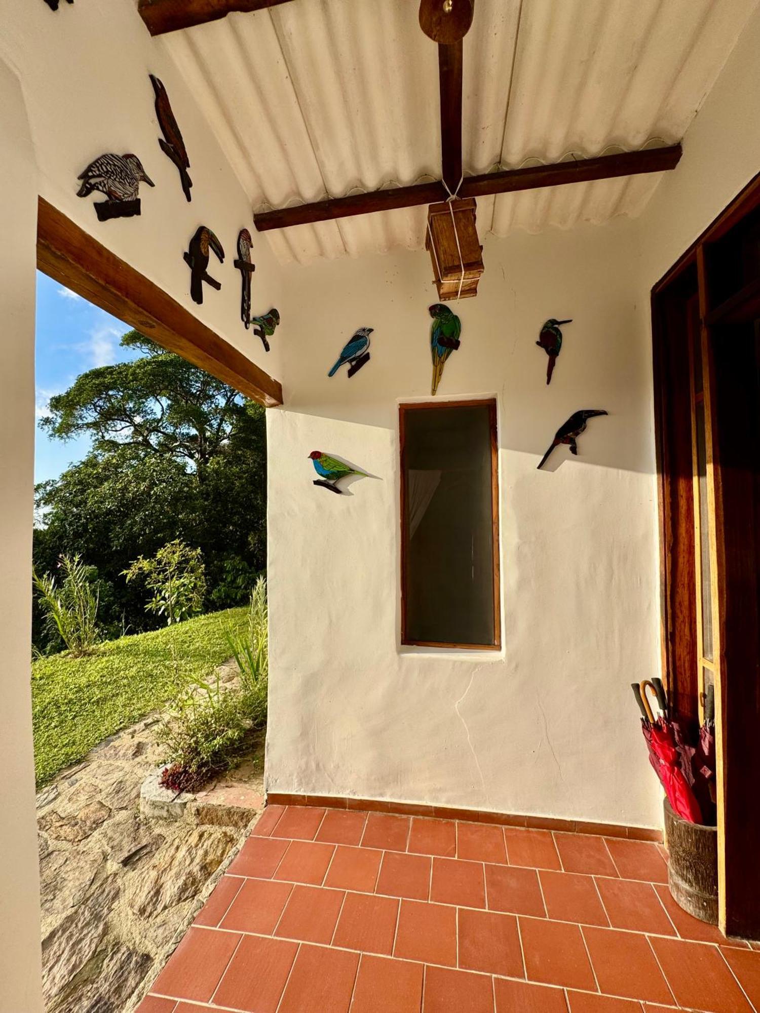 Mundo Nuevo Eco Lodge ミンカ エクステリア 写真