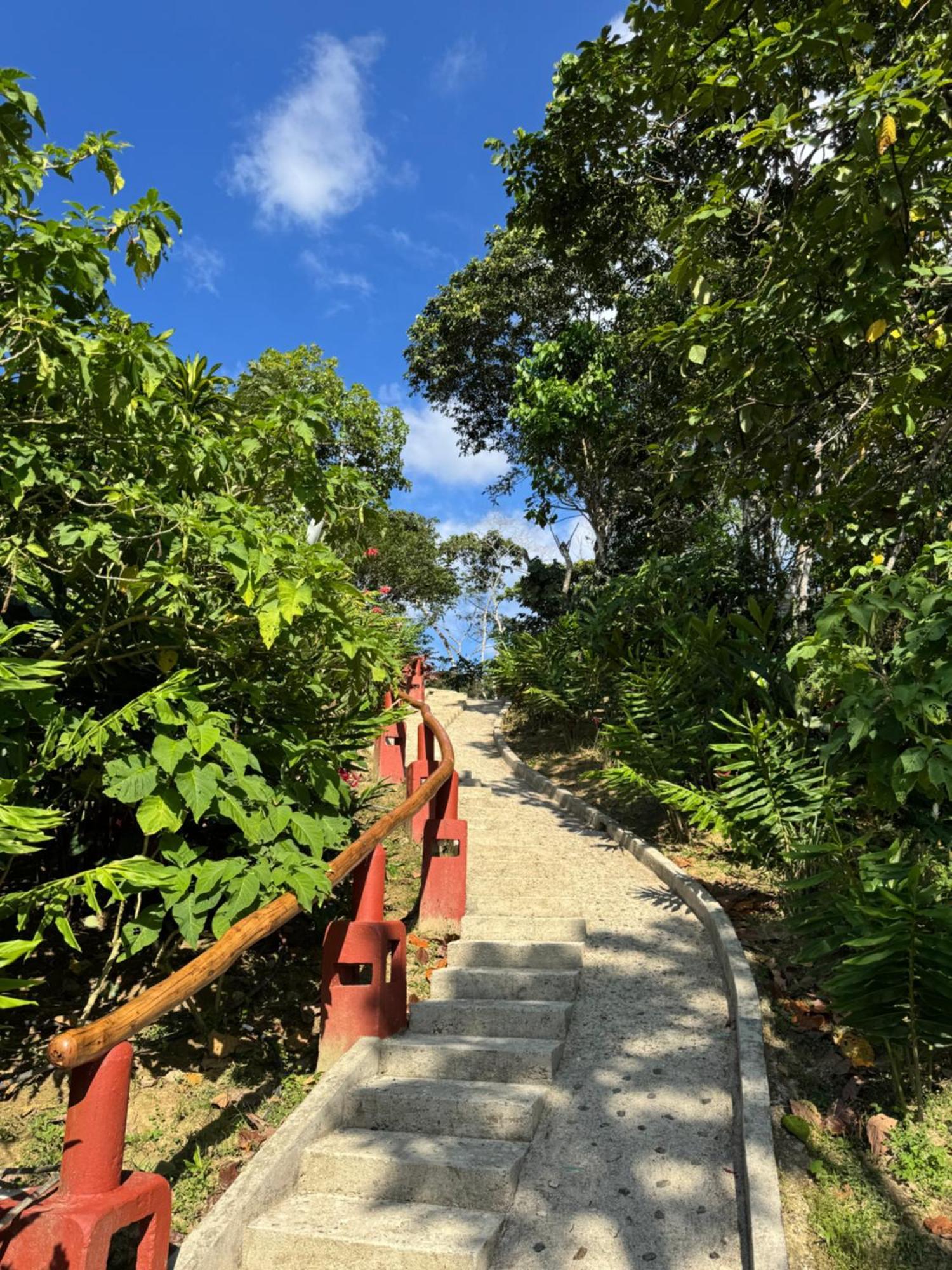 Mundo Nuevo Eco Lodge ミンカ エクステリア 写真